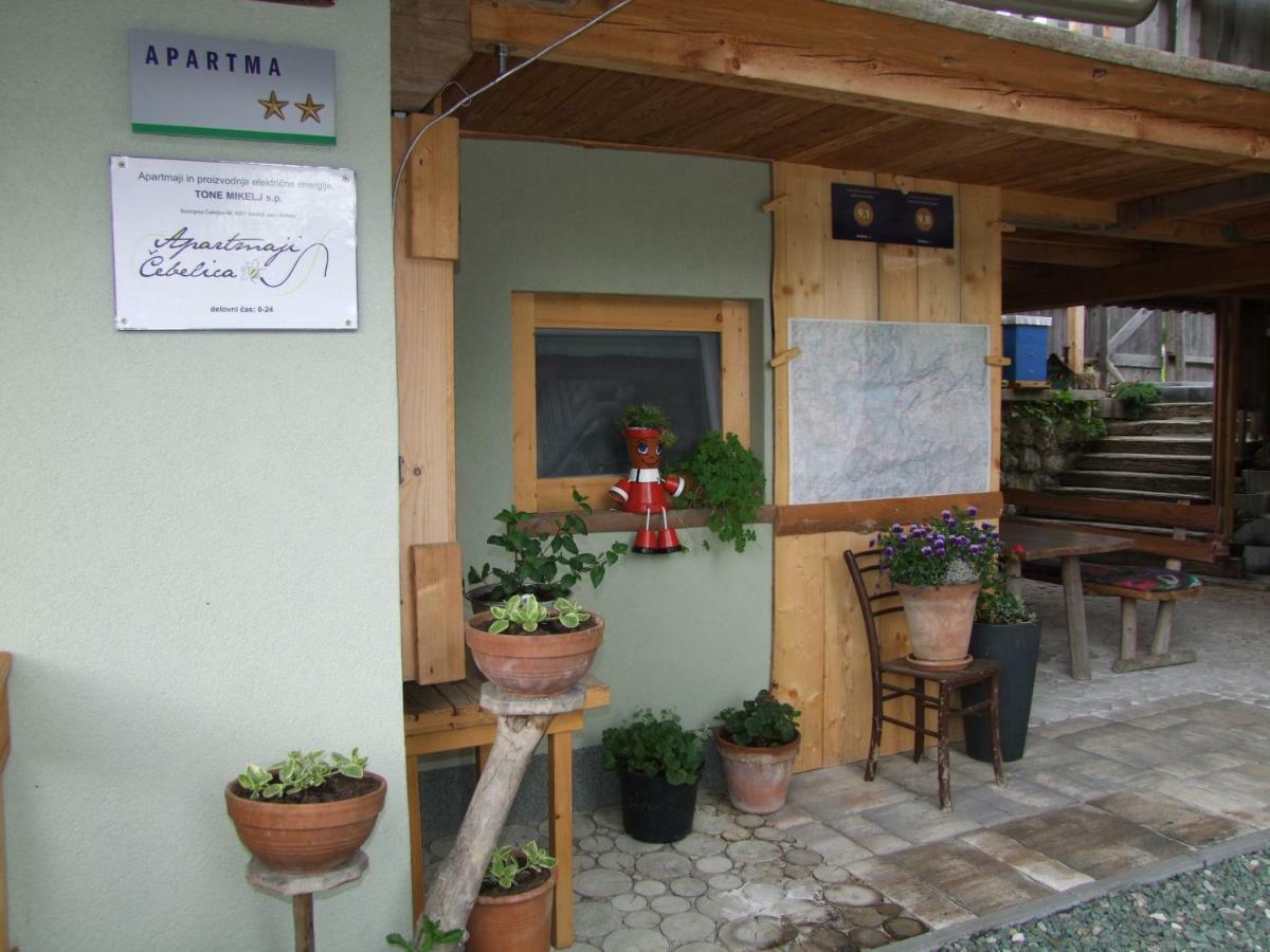 Apartments Cebelica Bohinj Εξωτερικό φωτογραφία